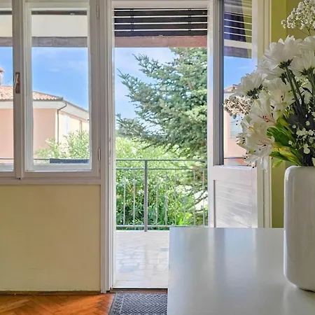 Aleksandra Apartamento